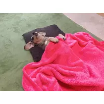 紗貴