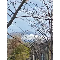 さや
