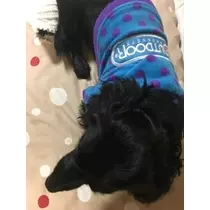 りえ