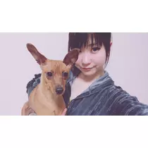 美波 空