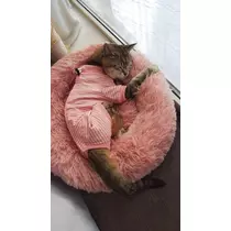 花咲 るり