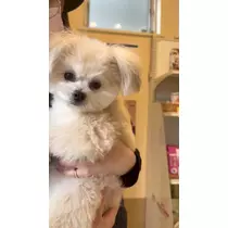 朝陽 凪