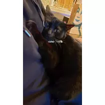 エミ （スタッフ）