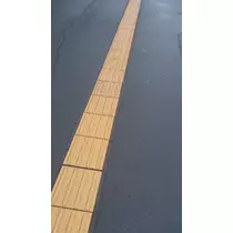 七星 夏純