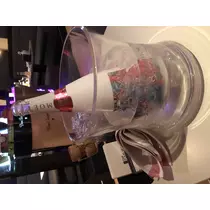 宝條 夏恋