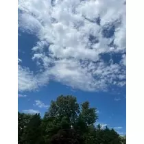 成海 まお