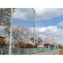 りか