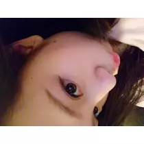 らん
