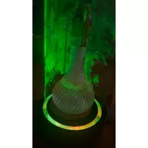 ミイ