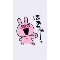 司