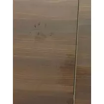 えりか
