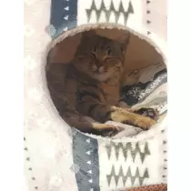 エミ （スタッフ）