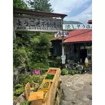 ありさ