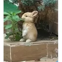 まこと