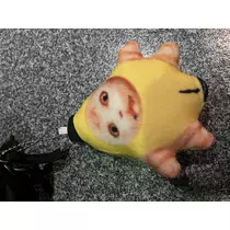つばさ