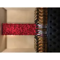 ルナ