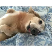 ティナ