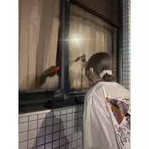 ヴィヴィ