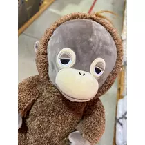 七星 舞冬