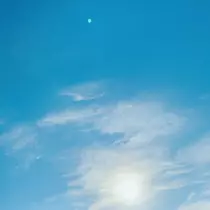 ゆうか