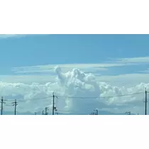 えりか