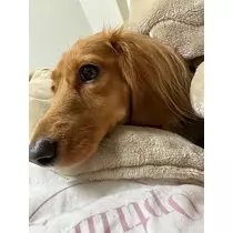 あい