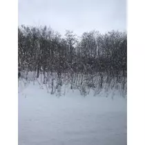 成海 まお