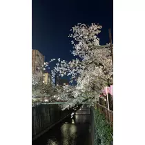 ナナ