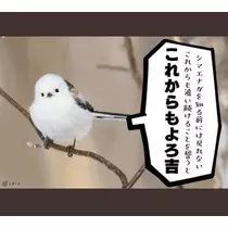 ひな