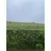 長瀬 純恋