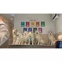 皐月 いおり