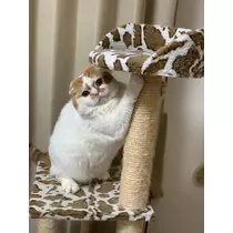 れみ