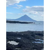 れいな