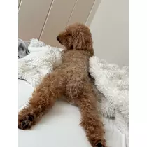 美波 あいか