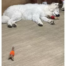 かのん