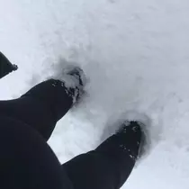 しおり