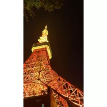 みむ
