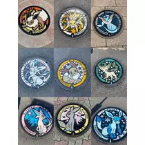 小川 真央