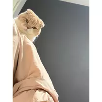 れいか
