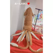 紫音