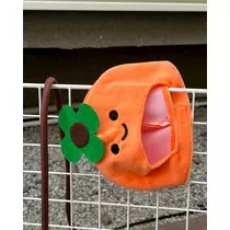 緑 四葉