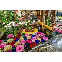 神崎　唯
