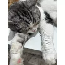 かんな