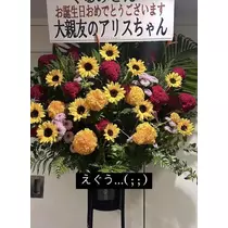 北乃 アリス