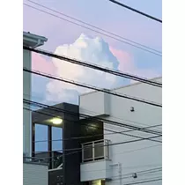 みお