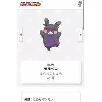 七星 夏純