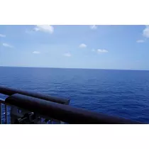 アリス