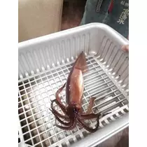 愛羽 仁美