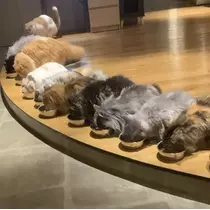 ひじり