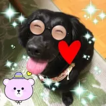 りえ